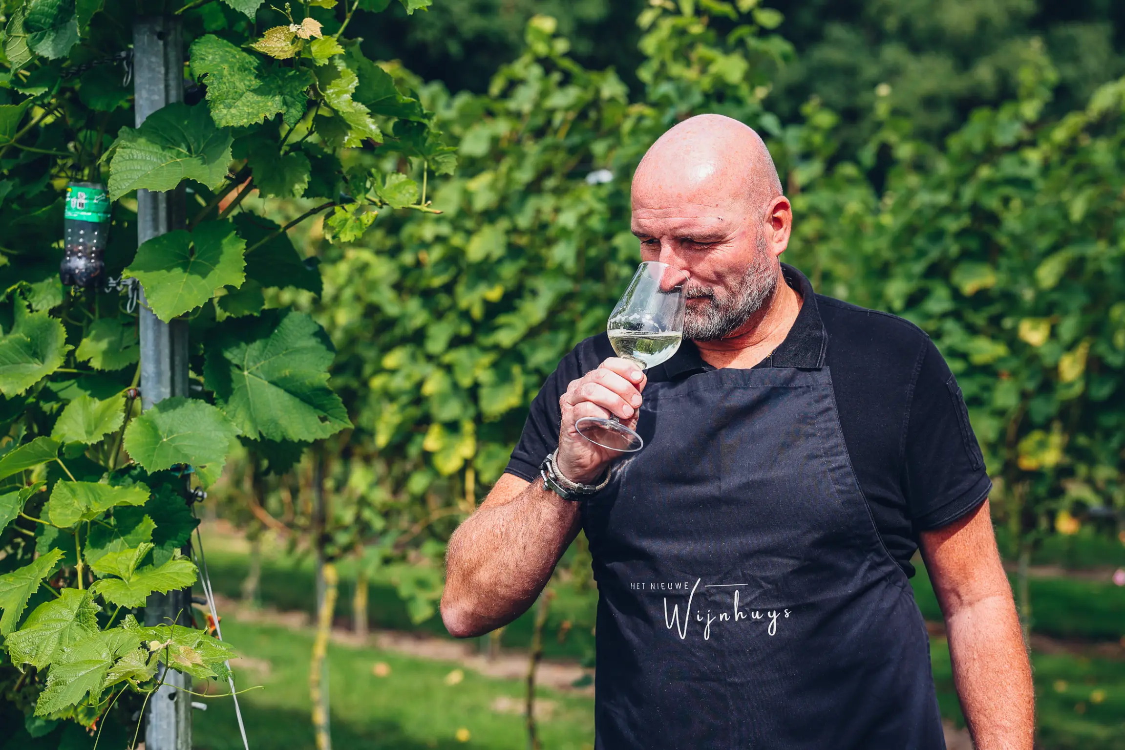 250825_Het Nieuwe Wijnhuys-154