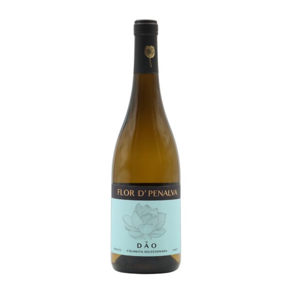 Flor d'Penalva Colheita Branco